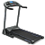 Беговая дорожка OXYGEN FITNESS LAGUNA II AL